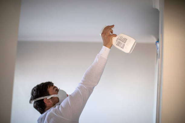Best Office Mold Removal Services  in Westwood, MI